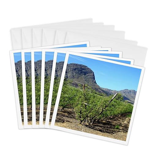 3dRose Greeting Cards - Vineyards of Franschoek, Western Cape, South Africa - AF42 MGL0019 - Miva Stock - 6 Pack - Vineyards