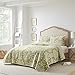 Laura Ashley - Queen Quilt Set, Reversible Cotton Bedding with Matching Shams, Home Decor for All Seasons (Rowland Sage, Queen)