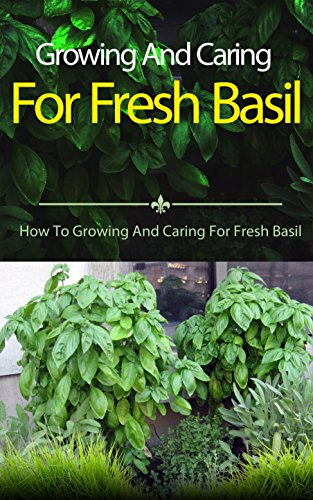 Growing And Caring For Fresh Basil: How To Growing And Caring For Fresh Basil