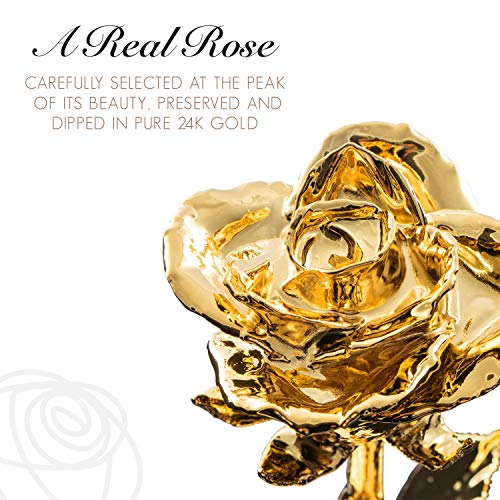 Forever Rose Real 24K Gold Rose, Genuine One Of A Kind Rose Hand Dipped In 24K Gold Roses To Last A Lifetime #TOP2