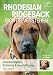 Produktbild Rhodesian Ridgeback richtig verstehen: Zusammenleben, Erziehung & Beschäftigung: Zusammenleben, Erziehung & Beschäftigung. Vorw. v. Jan Nijboer
