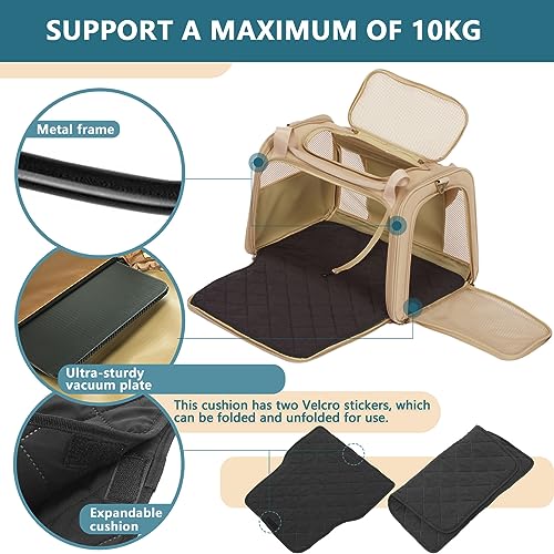 Petsfit Transportbox Katze Hund faltbar Transporttasche Hundetasche für Katzen Hunde, Hochwertige Tragetasche Hund Katze mit Schultergurt und weiches expandierbare Kissen,groß