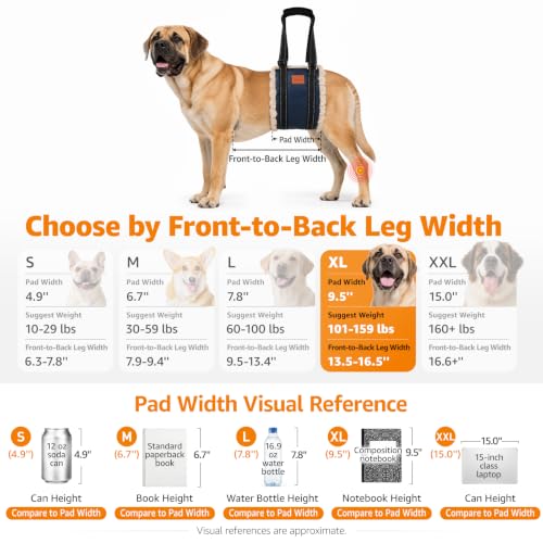 Image of LOOBANI Dog Lift Harness for Large Dogs Hind Leg Support for Weak Rear Legs