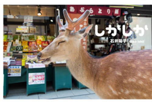 奈良公園の鹿をへブン状態にしてみた ニコニコ動画