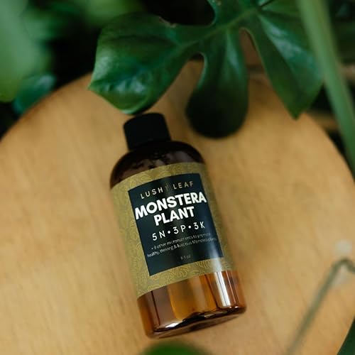Miniatura 9 de Lush Leaf  Alimento vegetal (Monstera)