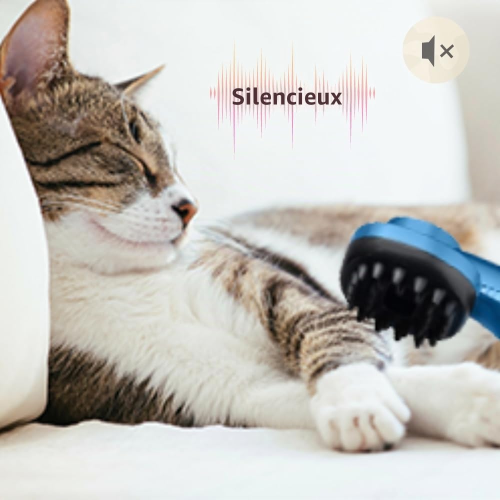 BEHOME Aspiration et Toilettage Chiens et Chats, Aspirateur Chien et Chat, Aspiration Poils Animaux et Aspirateur, Tondeuse professionnelle 6 accessoires, Silencieux