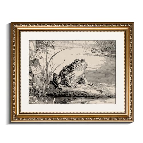 InSimSea gold framed art,16x13 Vintage Frog Illustration Wall Art Classic