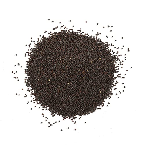 The Sprout House Certified Organic Non-Gmo Sprouting Seeds Broccoli 1 Pound - 16 Ounces #TOP2