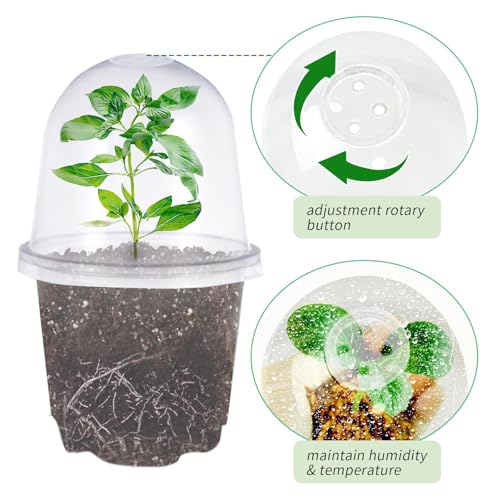 JOPY 4 Inch Plastic Nursery Pots with Humidity Dome for Plants Clear Seed Starter Pots Seedlings Planting Pots for Garden Indoor and Outdoor Small Planter Containers with Drainage Holes (10 Pack) - Image 3