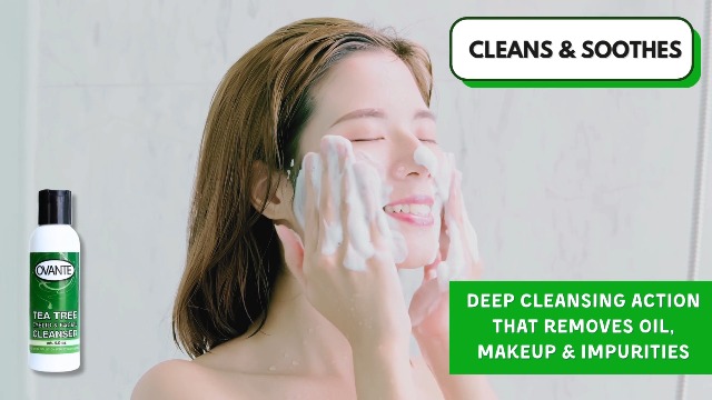 Amazon.com: OVANTE Tea Tree Oil Eyelid, Facial Cleanser Wash For