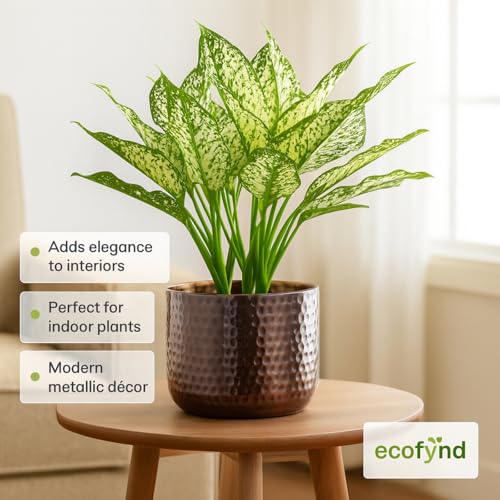 Image of ecofynd 5.5 inches Adam Metal Plant Pot, Decorative Modern Indoor Planter Flower Pots, Home Garden Decor Planter for Living Room Bedroom Interior, Pack of 1 (Copper, POT041)
