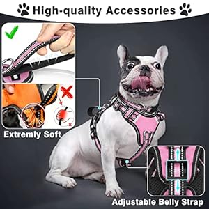 Winsee pet harness collar and leash set all in one reflective dog harness no pull with adjustable buckles for puppies small medium large and extra large dogs large pink   cucciolini doodles