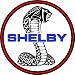 GT Shelby Decal 5" Free Shipping in the United States