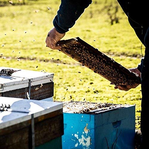 Tasmanian Leatherwood Raw Honey | 4.4 Pounds | Pure | Unheated | Unfiltered | Unpasteurized | Hand-Crafted | Product Of Australia | Bio-Active Compounds | #TOP3
