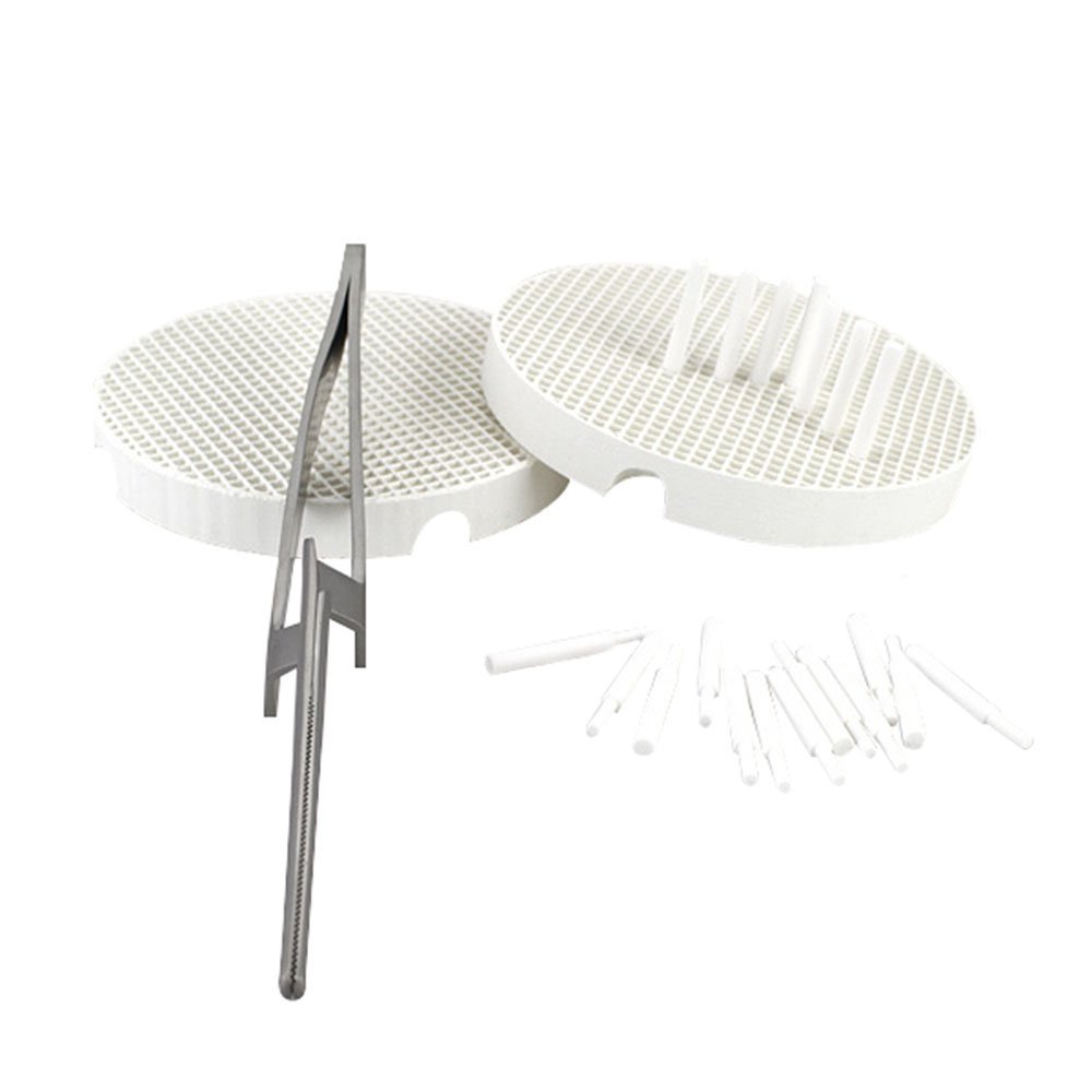 Earlywish 2 Dental Lab porcelaine céramique Plateaux de cuisson avec 20 broches + 1 Zircon Clips tenailles Pinces