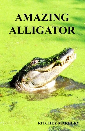 Amazing Alligator