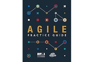 PMBOK 6th Edition 2018 Agile Practice Guide