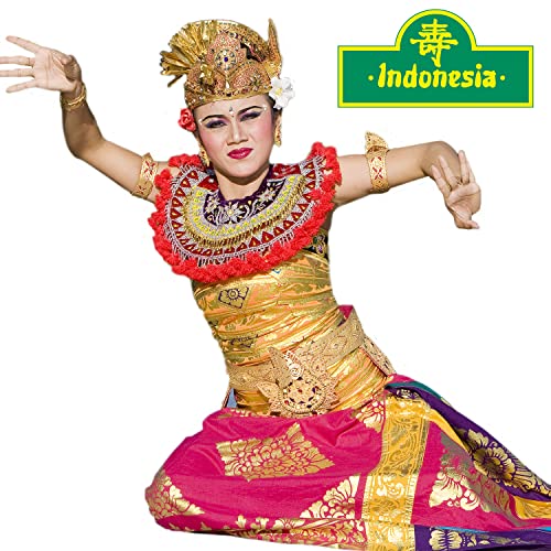 Indonesia Original Bihun Suppe | Das Original | Leckere Suppe mit Gemüse und Hähnchen | 780 ml