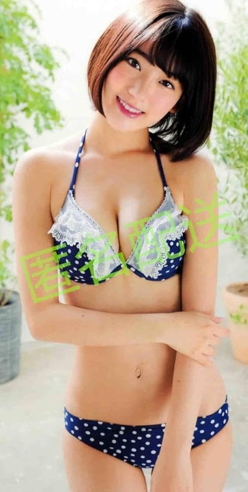 菊花48 82) 彩菊– KLM Fireworks