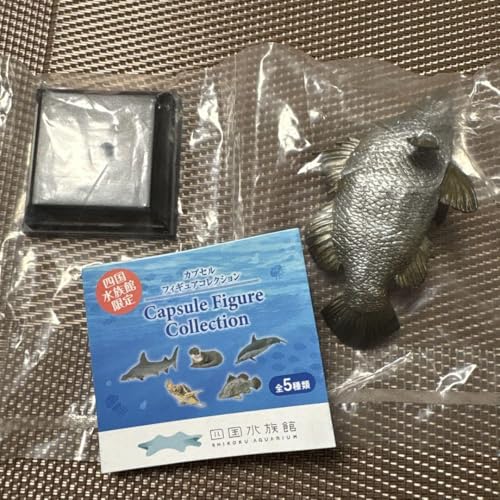 四国 水族館 カプセルフィギュアコレクション アカメのサムネイル