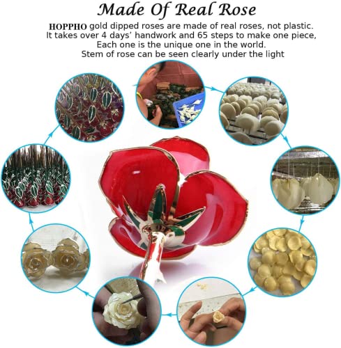 FUNINGEEK 24k Rosa Placcato Oro con Scatola Regalo...