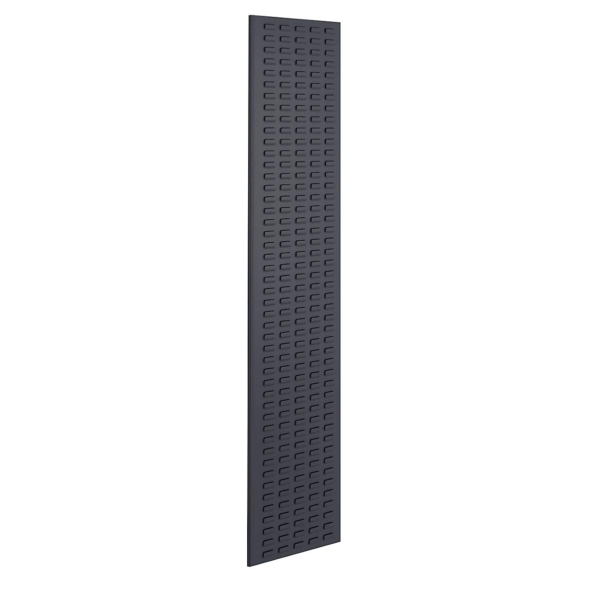 RasterPlan Schlitzplatte RAL 9005, B 450 x H 2000 mm, Hochformat