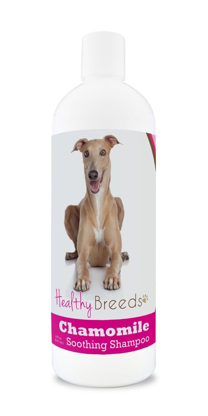 Healthy Breeds Italian Greyhound Chamomile Soothing Dog Shampoo 8 oz