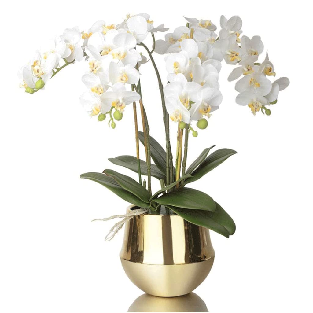 Sztuczne orchidee, poliuretanowe sztuczne kwiaty falenopsis, bonsai, porcelanowy złoty wazon, realistyczny design