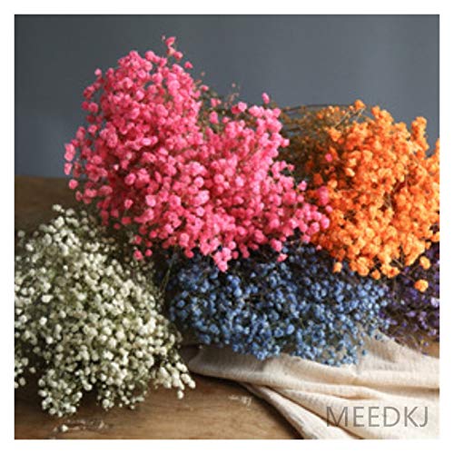 Fleurs séchées orange naturelles, gypsophile décoration