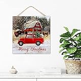 Décoration de Noël et d'Halloween : une corde est incluse pour une suspension facile