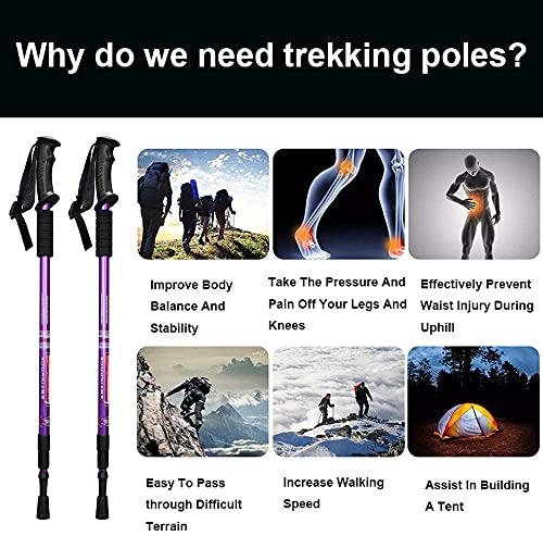 Image of Aihoye Hiking Trekking Poles, 2 Pack Collapsible,Lightweight, Anti Shock, Hiking or Walking Sticks,Adjustable Hiking Pole for Men and Women (Purple) Aluminum