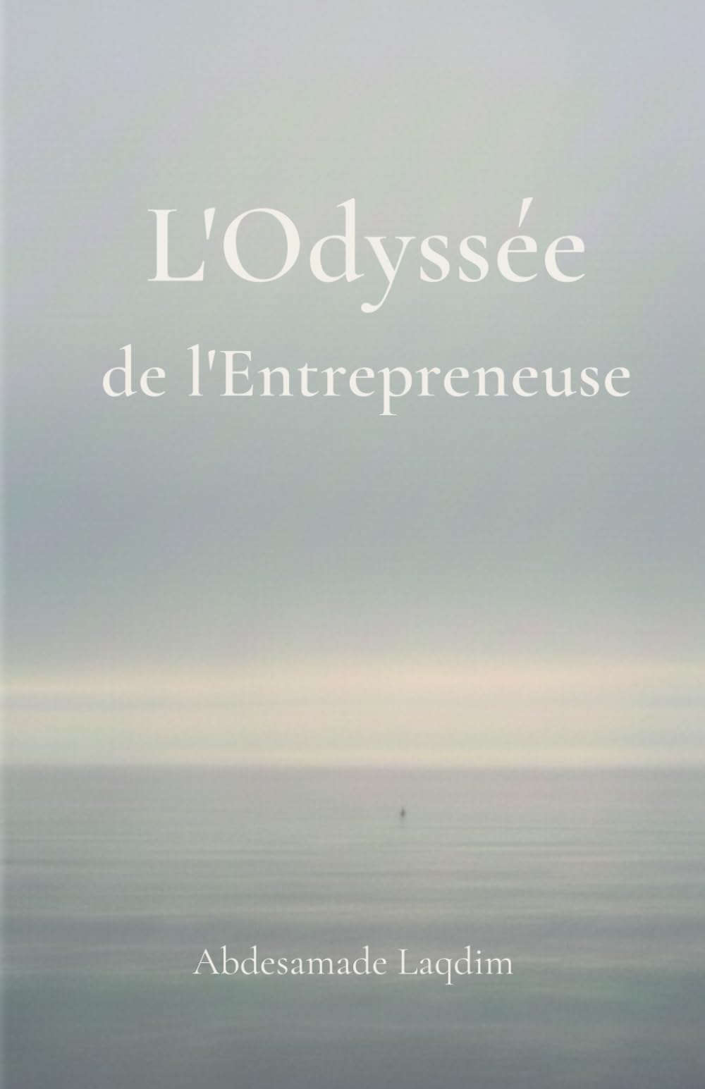 L'odyssée de l'entrepreneuse