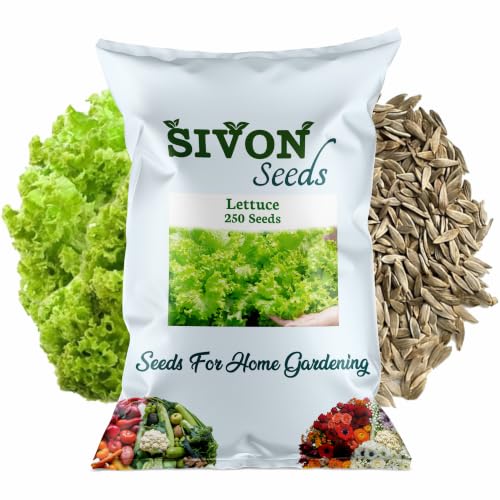 Image of SIVON Lettuce (250 Seeds) Exotic Vegetable Seeds for Home Garden, Organic & Hybrid, Perfect for Home Gardening, Planting For Pots and Patio