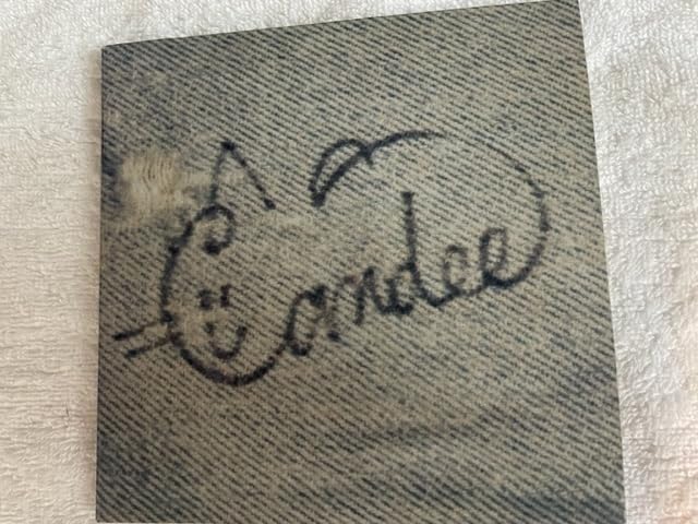【見本盤】Candee(高尾のぞみ)「Candee」LPレコード 31bWPIQMLRL._AC_SY200_QL15_.jpg