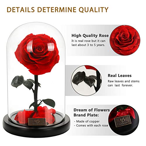 A Surprised Red Fresh-Keeping Rose, Blooming Beautiful and Elegant in the Glass Cover, Valentine\'s gift, Birthday Present, Mother\'s Day gift, Perfect Eternal Flower For The Person You Like - Thumbnail 6