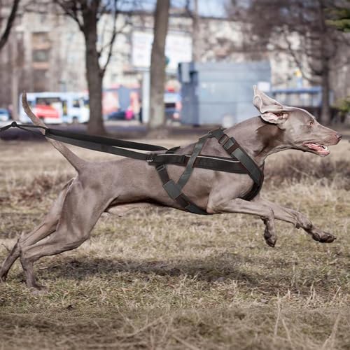 Zughundegeschirr - Reflektierendes Laufgeschirr Für Hunde | Bequemes Verstellbares Zugseil Für Training Joggen Schlittenziehen Sport