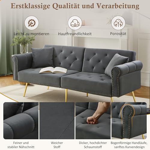 ALAMHI Modernes 2 Sitzer Sofa,Schlafsofa aus Samtbezug,Couch, Klappsofa mit Verstellbare Rückenlehne, Deluxe Sofa mit Schlaffunktion– Polstersofa für Wohnzimmer, Wohnung, Buro (Antique Gray)