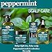 Difeel Peppermint Hot Oil Treatment for Dry, Irritated or Flaky Scalp - 7.1 oz Hair Treatment