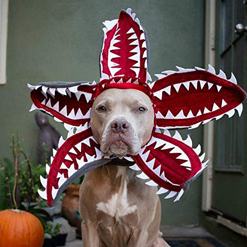 Best Halloween Costume 2023