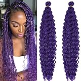 UPruyo Purple Curly Ocean Wavy Braiding Hair Deep Wave Crochet Hair Boho Braids 24 Inch 2 Packs Deep Water Wave Braiding Hair Pre Stretched Synthetic Bohemian Hair Extensions for Braids