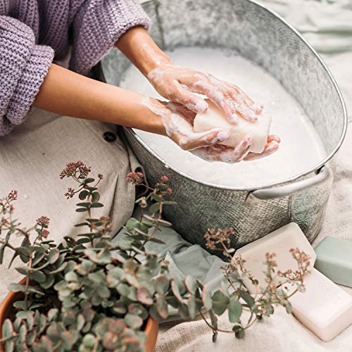 Beekman 1802 Goat Milk Soap Bar, Fresh Air - 9 Oz - Nourishes, Moisturizes & Hydrates The Body - Good For Sensitive Skin - Cruelty Free #TOP2