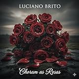ver as rosas mais lindas do mundo  Choram as Rosas