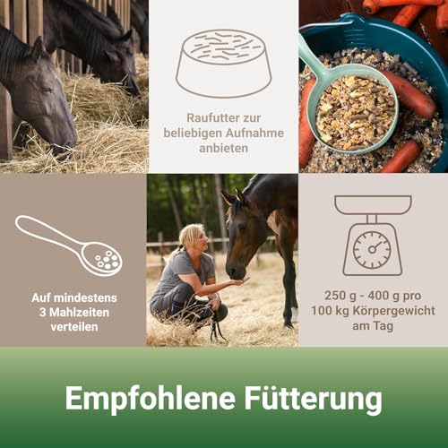 PANTO Pferdefutter Apfelmüsli mit Wisan-Lein 15kg – verdauungsförderndes Pferdemüsli mit Äpfeln und wertvollen Omega-3 & Omega-6 Fettsäuren