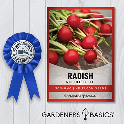 Radish Seeds For Planting - Cherry Belle Variety Heirloom, Non-Gmo Vegetable Seed - 2 Grams Of Seeds Great For Outdoor Spring, Winter And Fall Gardening By Gardeners Basics #TOP6
