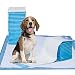 Petphabet the Best 20 Count of Pads Ultra-Absorbent 28 by 34 Inches Dog Training Pads