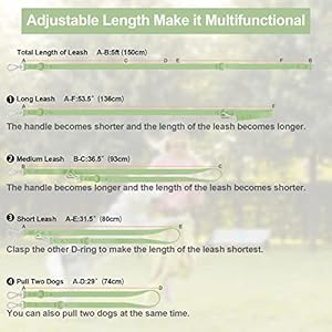 Wisedog-Waterproof-Standard-Dog-Leashes-with-2-Hooks-5-ft-6-ft-Lengths-Adjustable-for-Traffic-Control-Safety-for-Small-Medium-Large-Dogs-Walking-Sage-GreenM - Cucciolini Doodles Wisedog-Waterproof-Standard-Dog-Leashes-with-2-Hooks-5-ft-6-ft-Lengths-Adjustable-for-Traffic-Control-Safety-for-Small-Medium-Large-Dogs-Walking-Sage-GreenM