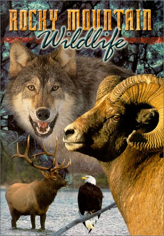 Rocky Mountain Wildlife 1562740768 Book Cover