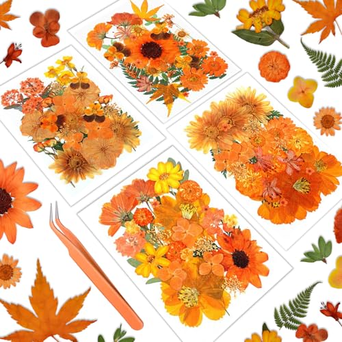 120 flores secas prensadas para artesanías y decoración miniatura 1