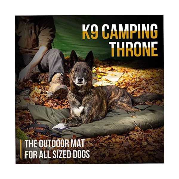 Top Notch Pet Sleeping Mat