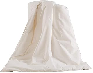 THXSILK 100% Mulberry Silk Duvet Comforter in White Cotton Shell for Baby Crib Toddler Bed for Spring and Fall, White